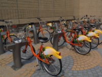 2009worktw.jpg